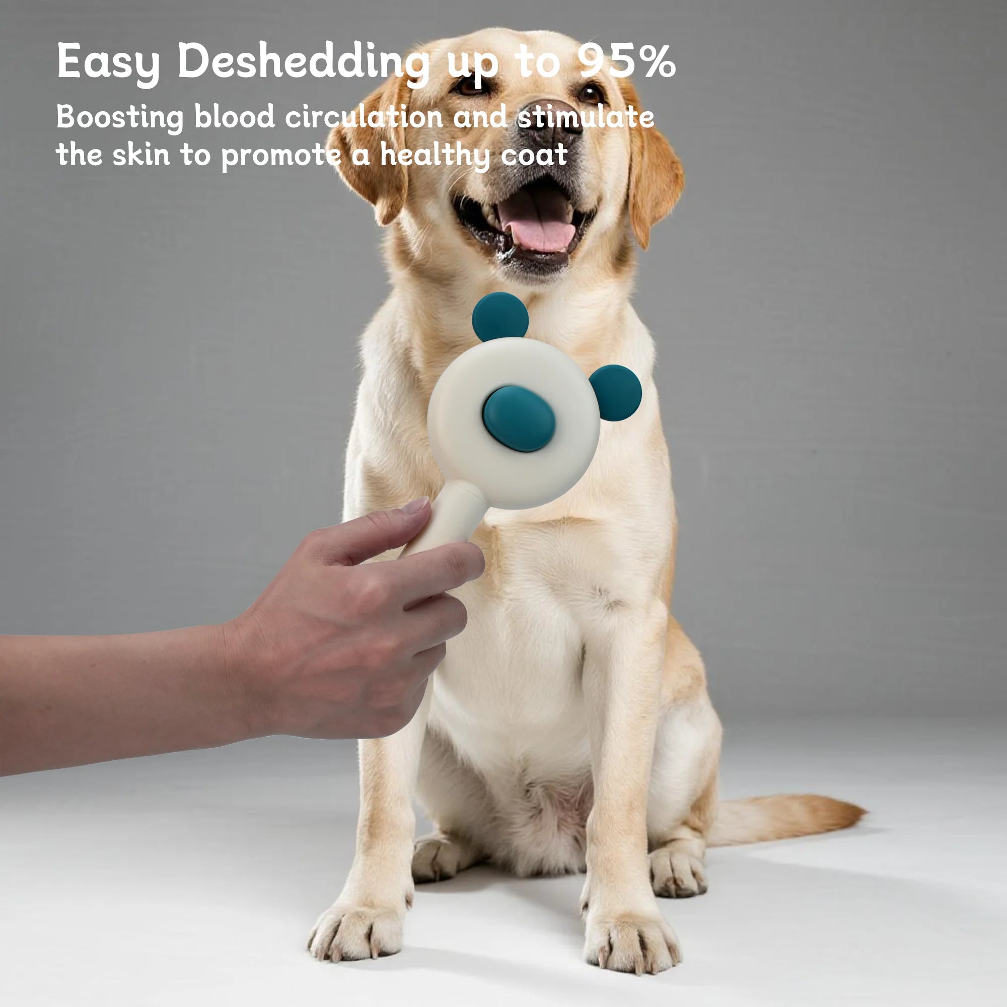 Self-Cleaning Pet Grooming Brush – Removes Loose Fur in Seconds